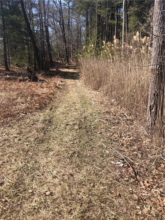 Beautiful wooded parcel of land. Has a road that leads to the rear of the property. Many riding/walking trails throughout the property if you enjoy the outdoors. There are many picture perfect spots for building a 1st or 2nd home. Close to many other activities: Resort Casino, Kartrite Water Park Resort, shopping, places to dine, Minnewaska State Park, rock climbing, hiking and waterfalls.