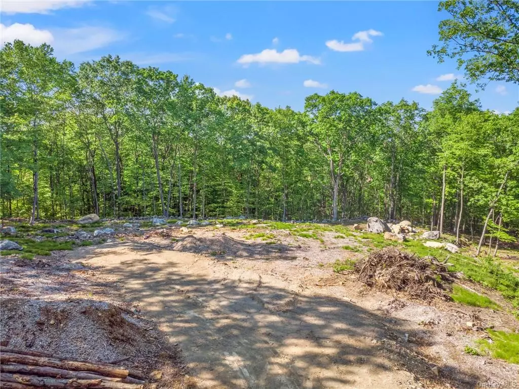 LOT 5-Outstanding extremely private 11.50 acre building lot. DCBOH for 5 BR septic, road to site complete w all utilities. A partially cleared lot suitable for spacious estate type build. Privacy and serenity abound on this beautiful 11 plus acre lot. Whether you are looking for a weekend retreat, equestrian setting or year round home experienced local area builders can customize to suit or use your own builder. Less than a 2 hour drive to NYC, this property&rsquo;s location combines convenience with privacy. Located near the quaint Village of Pawling and Sherman CT and nestled in the scenic Hudson Valley, this property&rsquo;s location has easy access to Metro North, picturesque village shops, restaurants, farmer&rsquo;s markets, trails, historic sites, & more! This building permit ready parcel can be purchased with Lot 4, MLS 6240725, a 9.01-acre 4BR approved lot providing endless possibilities: barn, pool, tennis court, cabana, your choice. Owners are willing to build to suit (Custom). Your dream home awaits!