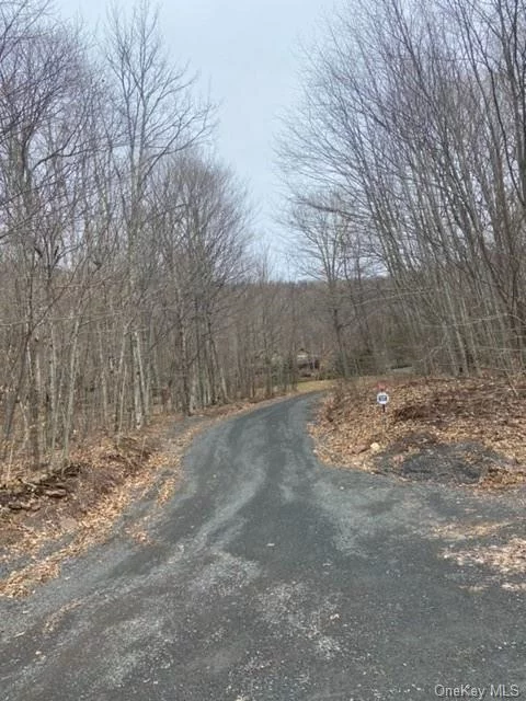 Calling All Contractors and Developers, this is an excellent opportunity to build a single residential family dwelling. Located in a quiet cul-de-sac, this property is nestled between Hunter and Windham Mountains. Great investment opportunity!