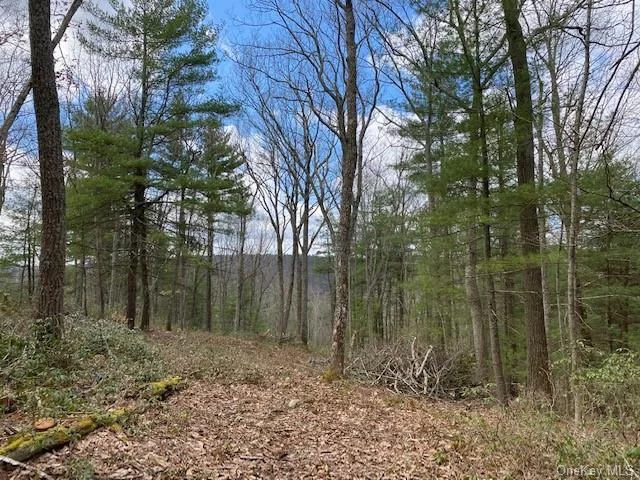 Just imagine...Beautiful land with mountain views to build your dream home! Located in Glen Spey NY only 2 Hours NYC and close to the Delaware River for recreation, The Homestead Montessori School, Ross McKenzie Eldred Schools, Port Jervis Commuter trains, buses, Barryville Farmers Market, Eldred library and conveniences. The perfect place to settle down and enjoy country living! Only 2 hours NYC