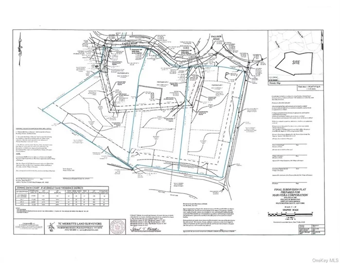 The record and survey of the entire parcel, with all three lots. Each lot is outlined in blue