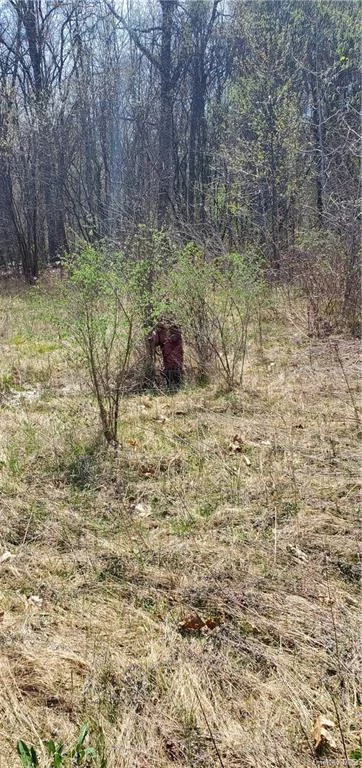 hydrant on neighboring property