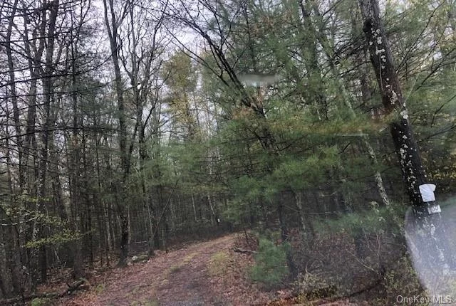 Nicely wooded parcel just outside of the charming hamlet of Eldred with easy access to the Delaware River and with deeded access to Bodine Lake just down the road. Great location between Eldred and Yulan.