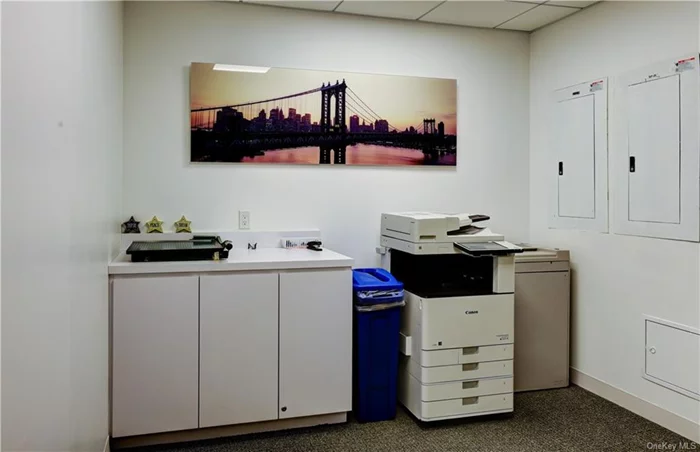 Printer/Presentation Area