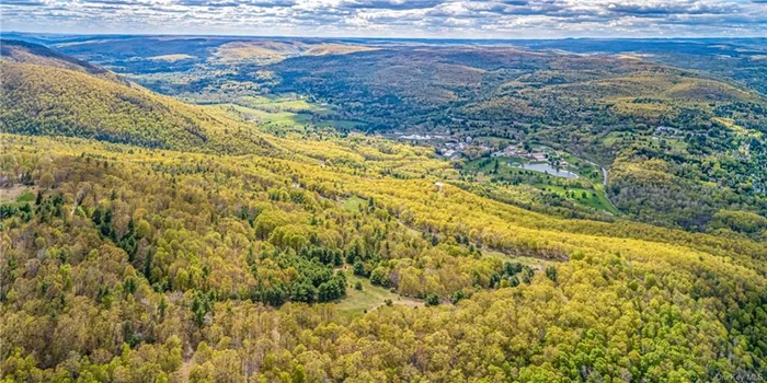A unique opportunity to own a vast 436 - + acres of extraordinary land with staggering Catskill Mountain and Rondout valley views, 2 streams and adjacent to 1000&rsquo;s of acres of protected lands of the Minnewaska State Park. Located on the highly coveted Shawangunk Ridge it is one of the last remaining large land tracts privately owned in this area of the ridge. Historically home to Mount Cathalia ski center which ceased operation in the early 1980&rsquo;s nature has reclaimed most of the trails but, some still remain as do areas of open meadows. Massive rock outcroppings dot the landscape and vistas are plentiful from this deeply wild and breathtaking parcel. A short drive to the historic hamlet of Cragsmoor and the village of Ellenville. 2 hours to NYC .