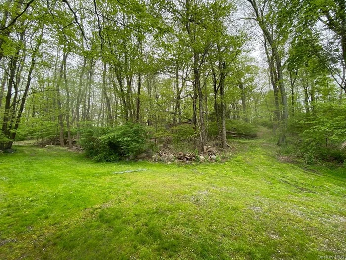 Proposed site for residence straight ahead on higher plateau! Driveway could be to left open space seen, or to right on slight uphill.