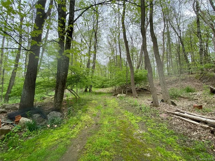 Pathway cleared to walk around on proposed driveway.