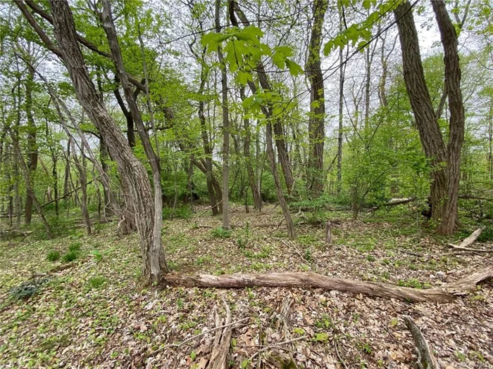 Proposed residence site.