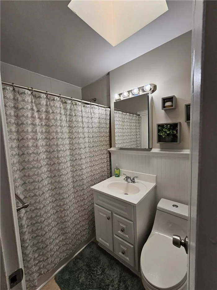 2nd fl bathroom with a skylight