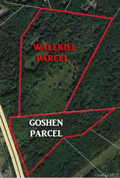 Located in a neighborhood of upscale homes and horse farms, these two adjacent lots are being sold together for a total of 44.6 acres. The natural terrain is just waiting to be explored. Perfect for campers, hunters, outdoor enthusiasts, hikers and nature lovers alike. OR the land can be developed by a builder to create a new community or housing development. The land is located in a desirable area close to the Galleria Mall and Crystal Run Health Care. With its prime location and development potential, these TWO parcels present a rare opportunity for builders or developers to create a beautiful, vibrant, and thriving community and they are located in the Goshen school district.