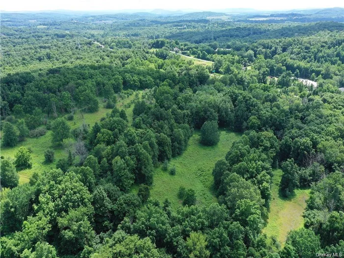 Located in a neighborhood of upscale homes and horse farms, these two adjacent lots are being sold together for a total of 44.6 acres. The natural terrain is just waiting to be explored. Perfect for campers, hunters, outdoor enthusiasts, hikers and nature lovers alike. OR the land can be developed by a builder to create a new community or housing development. The land is located in a desirable area close to the Galleria Mall and Crystal Run Health Care. With its prime location and development potential, these TWO parcels present a rare opportunity for builders or developers to create a beautiful, vibrant, and thriving community and they are located in the Goshen school district.