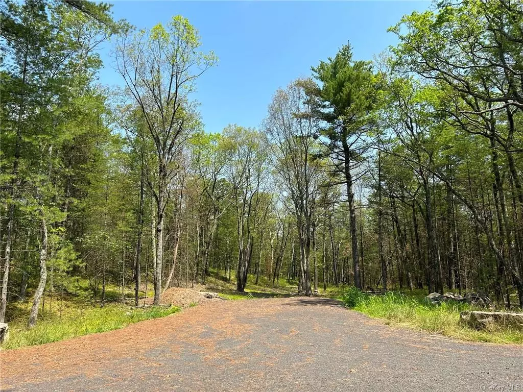 Amazing Opportunity to own a building lot in a picturesque subdivision in the heart of sought after Stone Ridge!! This 4.2 acre parcel offers both privacy and proximity to Everything Great Upstate. The wooded property will only have 3 additional neighbors with all homes spread a part andtucked away for ultimate privacy. One upscale home is currently under construction. Close proximity to Mohonk Preserve and Kingston. Closer to local restaurants, shopping and grocery stores. Don&rsquo;t miss this chance to be part of a beautiful project.