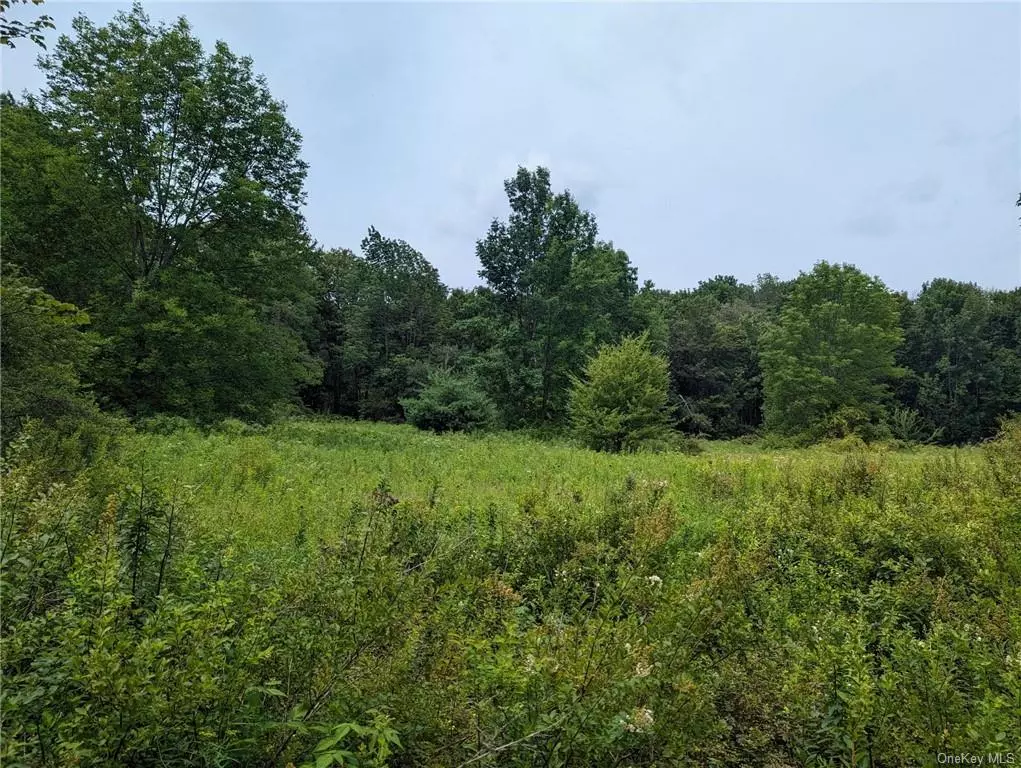 Partial cleared and level building lot in Salem Ridge subdivision. This property allows for maintaining privacy with use of layout and current vegetative state. Short trip to Liberty, Parksville, Livingston Manor, and Roscoe.