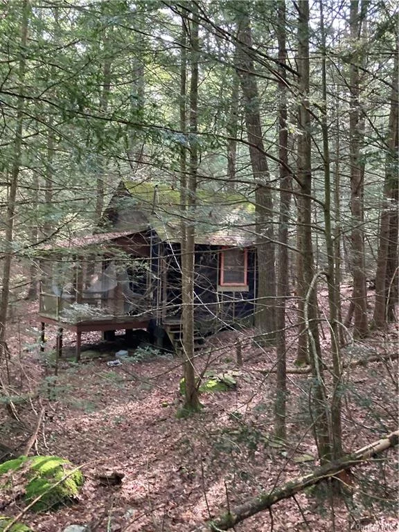 Location, Location! Just minutes from Route 17 West, 1.5 hours from NYC. Beautiful wooded building lot has an old cabin/bungalow/hunting shack built in 1978 on it.has electric lines coming in to cabin 100 feet from the road.no well or septic.This property is for some one who likes seclusion privacy nature lover. back in that woods.new owner should get a demolition permit from the town of Mamakating cost $150.Take down the structure. then when your ready to build have an engineer to plan where your home well septic should be positioned on the lot to meet town set backs regulations if you continue driving five minutes on deer hill road you find very nice homes with beautiful views of the avalley and mountains.in $450, 000 to$650, 000 price range minutes from route 17 easy commute to NYC. Take a Ride to the country this weekend. Visit for a weekend, stay a life time.