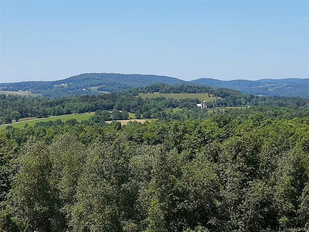 Spectacular Long Range Views! Pictures Don&rsquo;t Do Justice To This Amazing Property So Make An Appointment Today! There Are Many Possibilities Of Locations To Build Your Dream Home. More than 1000 foot of picturesque road frontage! Buyer will need to install well and septic.