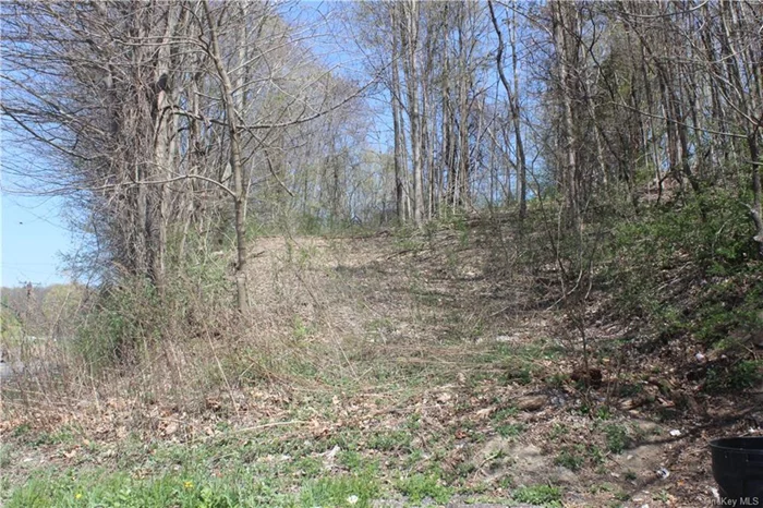 Looking for the perfect lot to build your dream home? Here it is. This lot is Board of Health Approved (BOHA) and has highly in demand select fill soil ready for you to build. Only an hour and 40 minutes to New York City. The scenery and foliage are breathtaking as the seasons change. Your new home will be overlooking a gorgeous open meadow. You&rsquo;ll be very conveniently located to the Connecticut border and not far from Massachusetts. This lot is less than 5 minutes to the Wassaic train station for commuters. Love to golf, play sports, do recreational activities, or are you into wellness? Your new home is also 5 minutes from the Silo Ridge Field Club. Harlem Valley Rail Trail is also less than 5 minutes away. You will be less than 5 minutes to medical care facilities and less than 15 minutes to Sharon Hospital in Connecticut. Looking for some leisure and relaxation time, head on over to the local drive-in theater only within a short 5-minute drive or head on over to Troutbeck Hotel a short less than 10 minutes away to stay or dine with some celebrities.