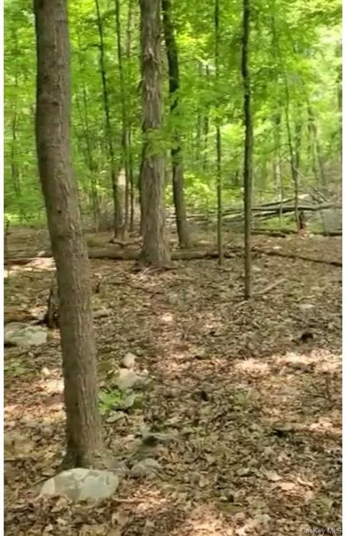 Partially engineered lot for single family dwelling available in Goshen, NY. Located in a private, convenient, residential area this is the perfect place to build your dream home.