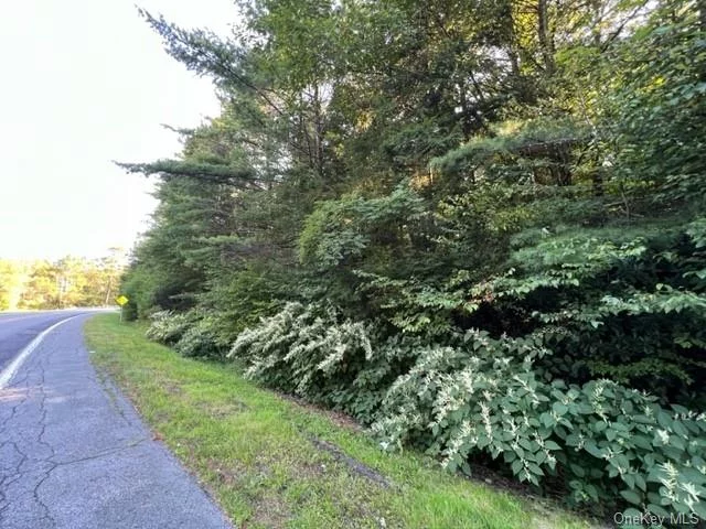 Looking to build your dream Home? Here is the perfect opportunity! Great 1 Acre Parcel located in Sparrowbush NY. with adjoining 1.7 acre parcel also available. Lovely property has a combination of pine and hardwood trees for a perfect blend of privacy and shade. Only minutes to Port Jervis commuter Trains and buses, conveniences, schools, hiking trails, SoHo style shops and cafes. Minutes to the Delaware River for recreation plus many hiking trails for your enjoyment! Don&rsquo;t miss this beautiful property if you&rsquo;re looking to build now or in the future!