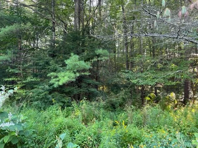 Looking to build your dream Home? Here is the perfect opportunity! Great Nearly 2 acre Parcel located in Sparrowbush NY. with adjoining  1 acre parcel also available. Lovely property has a combination of pine and hardwood trees for a perfect blend of privacy and shade. Only minutes to Port Jervis commuter Trains and buses, conveniences, schools, hiking trails, SoHo style shops and cafes. Minutes to the Delaware River for recreation plus many hiking trails for your enjoyment! Don&rsquo;t miss this beautiful property if you&rsquo;re looking to build now or in the future!