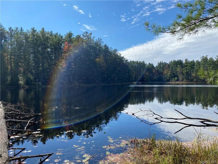 10 wooded acres with a building site, well site, and engineering done with just under 100 feet of waterfront on the serene and scenic Forestburgh Pond. On the northeast part of the parcel is a building site approved for a 4 bedroom home, as well as a site for a drilled well. The west side of the property is mostly wooded. It&rsquo;s a short stroll down the hill to the water, an area for a dock, and the setting is absolutely stunning, with an Adirondack feel less than 2 hours from NYC. Build your dream home here and enjoy the waterfront, have a weekend getaway of your very own on this wooded retreat, the sky is the limit. Forestburgh is idyllic; population under 1000, the Charming General store, and the renowned Forestburgh Playhouse are close by.