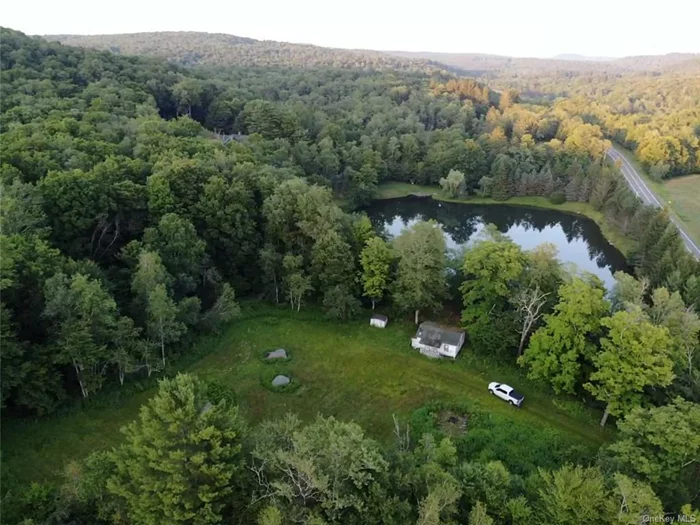 Located in the heart of the Catskills, this 165+ acre parcel is private and secluded, but minutes from the bustling town of Livingston Manor and I-86/Rt.17. The property offers a multitude of opportunities. Hike, hunt, snowshoe, camp or build your dream home on this amazing 165+ acre property. The property includes a stream, mature hardwoods and a seasonal bungalow/cottage with water views. Conveniently located less than 10 minutes from Livingston Manor and the famous Willowemoc and Beaverkill Rivers. Short drive to Resort World Casino, Kartrite Waterpark, Bethel Woods Center For the Arts, several golf courses and Catskill Park. 1 1/2 hour from NYC, 2 hours from Albany. This property has tons of potential, call today for your private viewing!