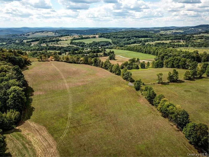 Discover the allure of 23.6 panoramic acres in the highly desirable Beechwoods section of Callicoon, boasting breathtaking long-range views that stretch as far as the eye can see. This picturesque expanse of land presents a once-in-a-lifetime opportunity to create your dream home.