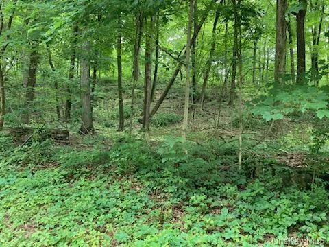 Beautiful lot, almost 2 wooded acres, board of health approved, in town of Pleasant Valley. Close to village, TSP, 15 mins to Poughkeepsie and train station.