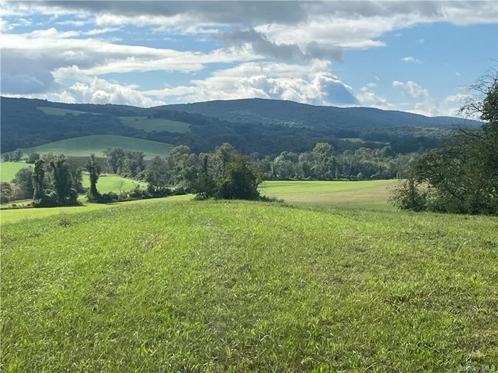 Extraordinary Ancram 15 acre building site currently farmed with dramatic, panoramic 360 degree views, including Catskill Mountains, long driveway. Owner will consider adding additional land at $30, 000/acre. Quiet country road, easy access to Millerton, Hillsdale and Berkshires. Ski Catamount in 15 minutes.