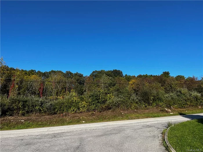 2.6 ACRE LEVEL BUILDING LOT. Build your dream home on this prime Board of Health Approved lot located just outside the village of Fishkill and convenient to all.