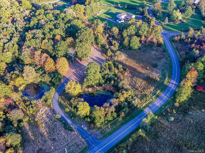 Orange County is one hour from NYC, a great private country location. This 9.2-acre lot will afford lots of privacy with 2 ponds for your own enjoyment. A perfect place to design and build your dream home, in a private yet convenient setting. Results of the percolation test and septic design are available. Only minutes to major highways, great restaurants, parks, seasonal skiing and hiking, shopping, local breweries/wineries, and much more. Short distance to the Delaware River for rafting and fishing. Schedule your appointment today!
