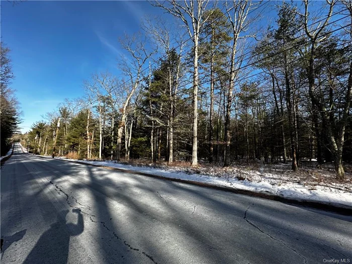 Beautiful 5 1/2 +- acre wooded land for sale in Barryville NY. Mostly mature trees?, a mix of hard wood and pines. Lightly sloping. Close to schools, shopping, restaurants, water park, lakes, casino, skiing, hiking, train to NY City, and the Delaware River for kayaking, tubing or fishing.