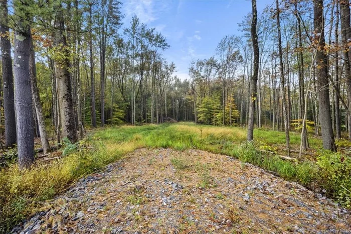 This 1.957-acre parcel, carved from the original lot on the picturesque River Road in New Paltz, presents a unique opportunity to create your dream home. This land has been meticulously surveyed and is pre-approved for an in-ground septic system, ideal for a spacious 4-bedroom dwelling. The property is thoughtfully cleared, with the seller intentionally preserving bordering trees to offer a natural privacy barrier. This idyllic piece of land is set along a serene country road, moments away from the Hudson Valley Rail Trail making it the perfect canvas for realizing your vision of the perfect home in the charming town of New Paltz.