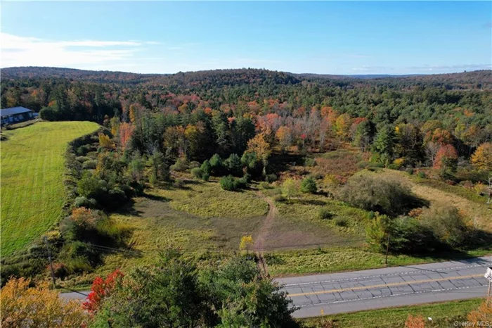 Very desirable and fairly level land with high visibility on busy NYS Route 17B. Top notch location is less than a mile from NYS Rt. 17 (Interstate 86) and Monticello Village. With 350+ feet of road frontage, this property is well suited for development. Property is directly adjacent to a long time building supply store and warehouse, across from large farm supply store and auto repair center. This is a great location for many commercial businesses/ warehouse distribution. Moments to Resorts World Casino, Wellness Center, Urgent Care, Water Park, Monticello Motor Club and Bethel Woods Center for the Arts and Museum. Route 17B has recently been captioned Woodstock Way, commemorating the Historic 1969 Original Woodstock Music Festival. This prime property is perfectly situated in a gateway area that is slated for new commercial and residential growth.