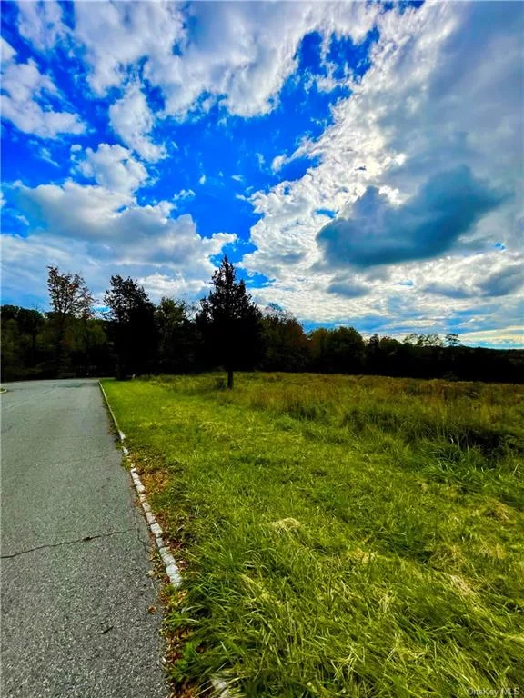 Amazing opportunity to own this 6.3 Acre Lot in Monroe School District, Drilled Well and Electric on site, survey available, Level lot with panoramic views surrounded by exclusive homes. Come build your dream home only 60 Miles to NYC/Minutes to RT17/17M/I87