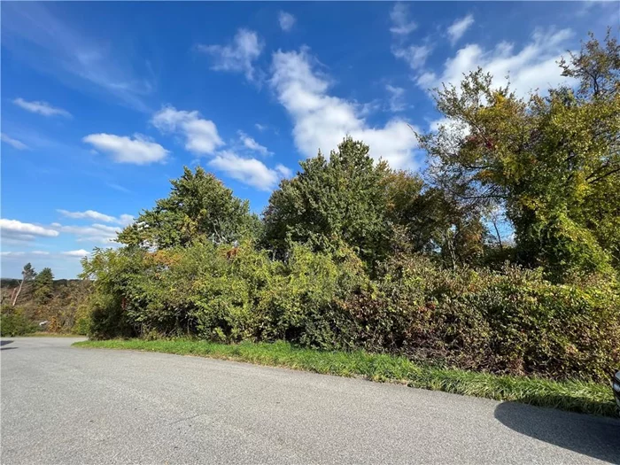 Location! Location! Location! One of the last great building lots in the Mahopac area and located in an upscale neighborhood, CAPRI ESTATES, close to town, shopping, Route 684 and the Metro North train station. This wooded 1.38 ACRE lot is a corner lot with views of the Croton Falls Reservoir and distant mountains. Community water system. Previous board of health approval required no fill. Owner is in the process of obtaining a new board of health approval for 4 a bedroom home. (Note: Plans available for a four-bedroom Colonial). Very desirable property, easy to build upon, sold with current BOHA and a superior location!