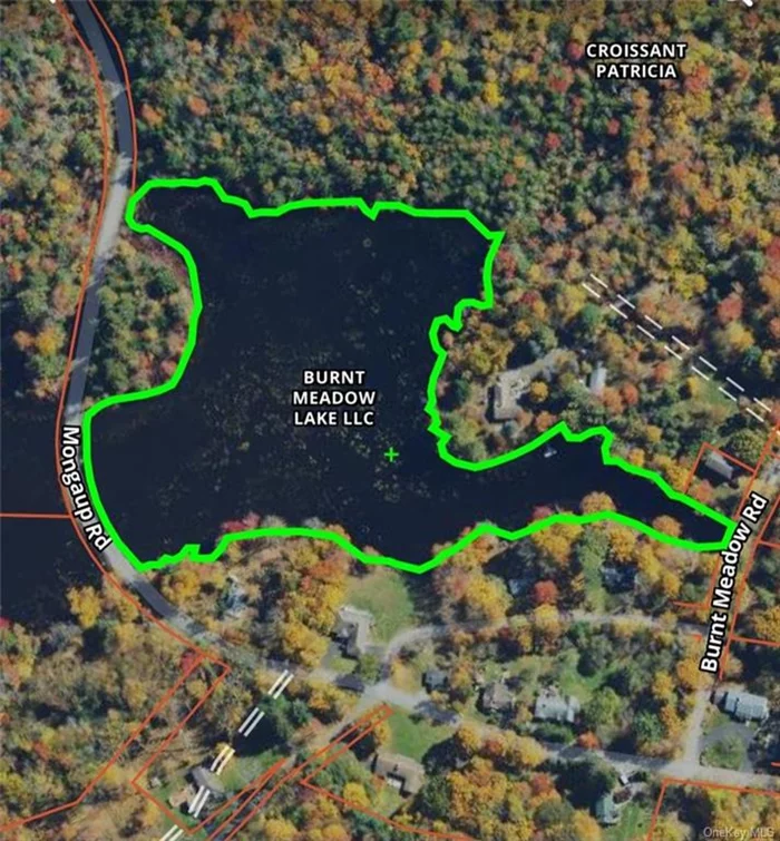 Rare find. Like to fish or boat! You got it! Own your lake with 2 dry parcels to access and possible building lots. Very beautiful area between 2 major lakes in Sullivan county Sackett lake and Swinging bridge lake.