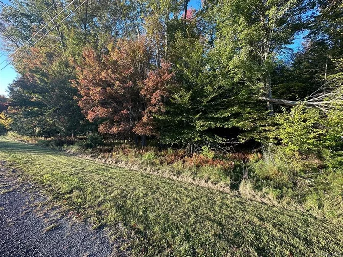 Amazing opportunity to own 5 acres of vacant residential land on Ulster Heights Road in Fallsburg on Route 52 near the intersection of Routes 17, 52, and 55. Schools nearby include Tri-Valley Secondary, Sullivan County Christian Academy, and Central School. ShopRite and Liberty Mall are also located within a 30-min drive. Enjoy the outdoors in one of the many parks of the area, such as Neversink River Campgrounds and Woodbourne Fireman Park. Buyers and Buyers agent please do due diligence for the necessary approvals, permits, and utilities from the municipality Town of Fallsburg. Property class: 312 - Vacant/imprv