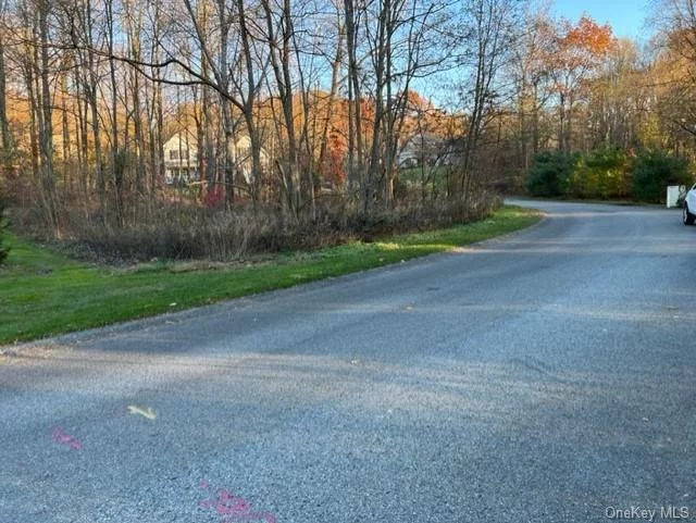 This is one of the last lots available in this Subdivision of Luxury Homes. Beautiful lot with Views of the Hudson River.  Build your Dream home with the Historic Roosevelt and Vanderbilt Mansions as your neighbors. The Culinary Institute of America is near for you to enjoy a Gourmet meal and tour.