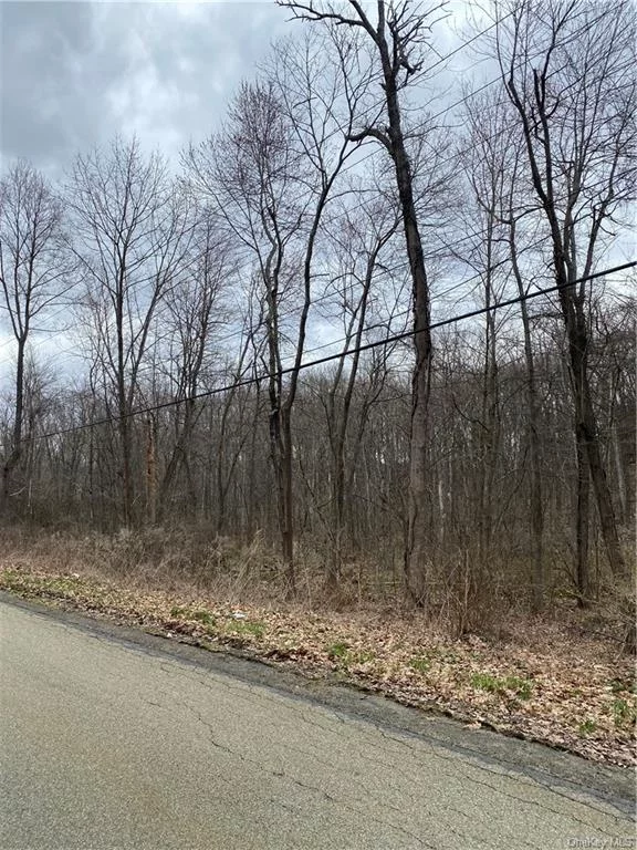 BUILD YOUR DREAM HOME!!! Check out this vacant residential 1.10 acre parcel nestled in the Town of Newburgh and in the Wallkill School District. This lot is located within close proximity to the Leptondale Elementary School, a short drive to local restaurants, parks, the Chadwick Lake, Orange Lake and within a short 15 minutes drive to most major highways including Interstate 87 and Route 32. Opportunity awaits. Don&rsquo;t delay, call now!