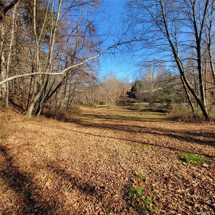 Serenity and tranquility unit perfectly to create this bucolic setting. This property offers almost 11 acres of pure bliss from the scenic views to the rolling sound of the near by stream. So whether you&rsquo;re looking to build a large estate, a compound, or the perfect home within nature. Don&rsquo;t let this opportunity pass by!!