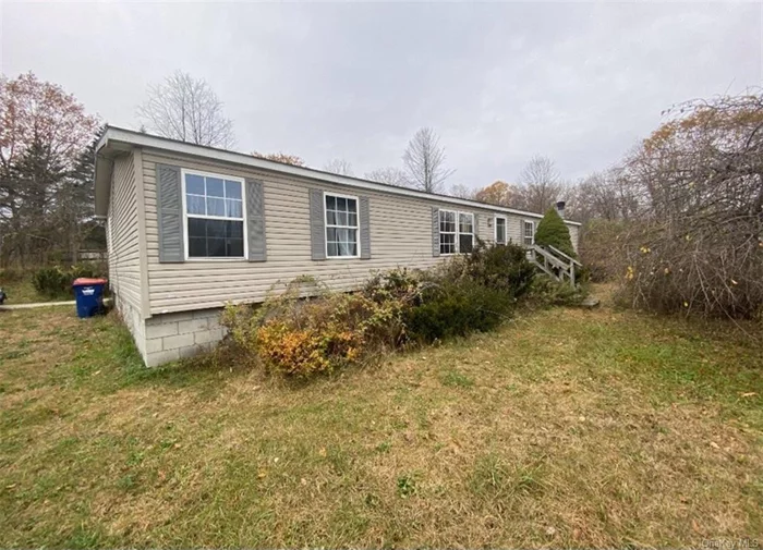 Adorable 3-bedroom ranch ready for you to move in. Ideal for First-time home buyers or anyone tired of paying rent. Bright eat in kitchen, living room with fireplace. door that leads out to large back yard. Close to schools, Village of Pine Plains and TSP. County living at its best.