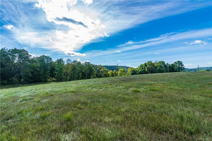 It&rsquo;s time to bring your dream house to life on this 30-acre plot with stunning views and secluded spaces. The idyllic pasture and barn create the perfect backdrop for building your ideal home. Stone walls, old foundations, and a stream on one side of the land serve as a buffer to Friedenstein Rd. Access is available from Frelich Rd, providing multiple options for driveway placement. This property is ideal for a niche farm, offering three large pastures and a stream for your sheep, alpaca, donkeys, horses, or cows. Consider salvaging the 1800s barn or using its parts to construct your home. The sunny land, adorned with trees and forests, ensures the privacy you desire. For those who appreciate good neighbors, the current farmer next door can continue tending to his livestock, making cows great companions. Additionally, there&rsquo;s potential to subdivide the plot with guidance from the town. Near beautiful Crystal Lake, Roscoe, Callicoon, and all that the beautiful Sullivan Catskills has to offer.