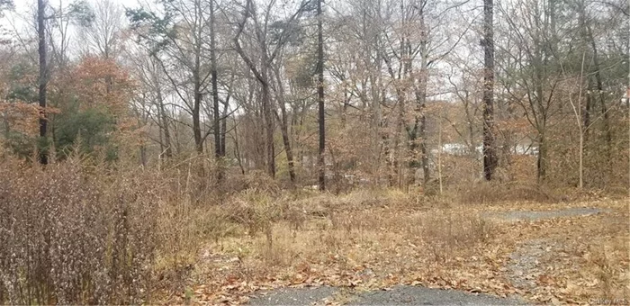 Great opportunity to build a single family home in Briarcliff PO/Ossining on a beautiful wooded site on top of a hill in sought after Briarcliff Manor. Minutes away from the Saw Mill River Parkway. Potential buyer will enjoy this lovely community. There are cozy cafes, shops, schools, libraries and most of the amenities that people love in a small quaint community.