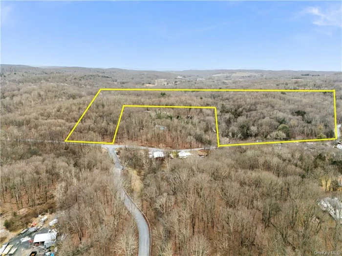 Amazing opportunity to own this 53+acre parcel of wooded bucolic land in the heart of Pleasant Valley. Situated within the Arlington school district this property offers a prime real estate opportunity. The property is versatile and can be subdivided to accommodate Single Family homes, with a minimum size of 5 acres per lot as well as an excellent location for your own private estate. Boasting road frontage along Drake Road and Parksville Road, the land provides convenient access. With its wooded surroundings, the property presents endless possibilities for development. The serene and natural setting makes it an attractive option for endless privacy. Excellent location, minutes to Taconic Pkwy, Route 44, Villages of Pleasant Valley & Millbrook, Eastdale, schools, shopping and more!