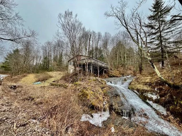 Adorable two bedroom cabin on 1.95 acres. Quiet area. Sit on your deck overlooking the beautiful waterfalls which runs all year long. Close to NYS Hunting lands for hunting, hiking, snow shoeing, cross country skiing and snow mobiling.... needs TLC. What an imagination to make this cabin into your own special paradise. So much potential. Seller motivated. Fix up and rent as a AIR B&B. Great Investment!