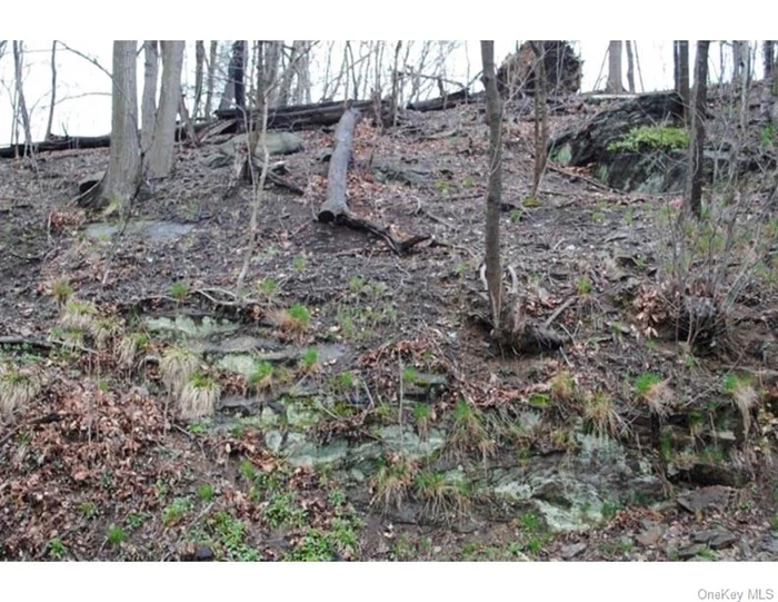 Building lot available in Ardsley school district. Parcel ID is 680-6602 and 680-66-3 Steep slope property. Will require a great deal of excavation. No plans available and no site work has been done.