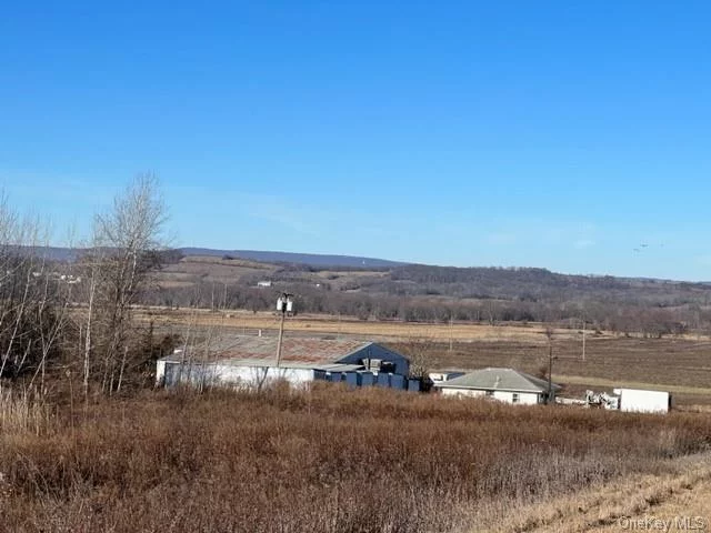 Owner Financing to Qualified Buyer. Multi Uses in Orange County NY! Fabulous 31+ acres of Agricultural land plus 40 acres for a total of 71 acres in Black Dirt County Pine Island! Total 11, 014 SF Includes 3 Buildings! 1970, Large steel Warehouse 5206 SF w/4 overhead garage doors, 18&rsquo; ceiling height, 2 wells & new electric. 1960, 1008 SF Office Building, insulated w/electric baseboard heat has 3 rooms & full bathroom, 3rd building is a 4800 SF Farm Worker residential building. 3 fully outfitted units, one 3 bedroom, 1 two bedroom & 1 one bedroom unit renovated & ready to occupy w/Kitchen & bathrooms. 1 unit partially done, 3 units need renovating for a total of 7 Units. Newer metal roof, newer siding, newer windows. Grant Money available through Orange County NY for agricultural use. Beautiful level property has 2 ponds, perfect for irrigation or aquatic farming. 31.5 acres w/ Approximately 20+ Acres of Black Dirt for farming plus 40 acres with frontage on Liberty Corners Road. Only 90 Minutes GWB, the perfect location for your farm or business! Limitless opportunities!