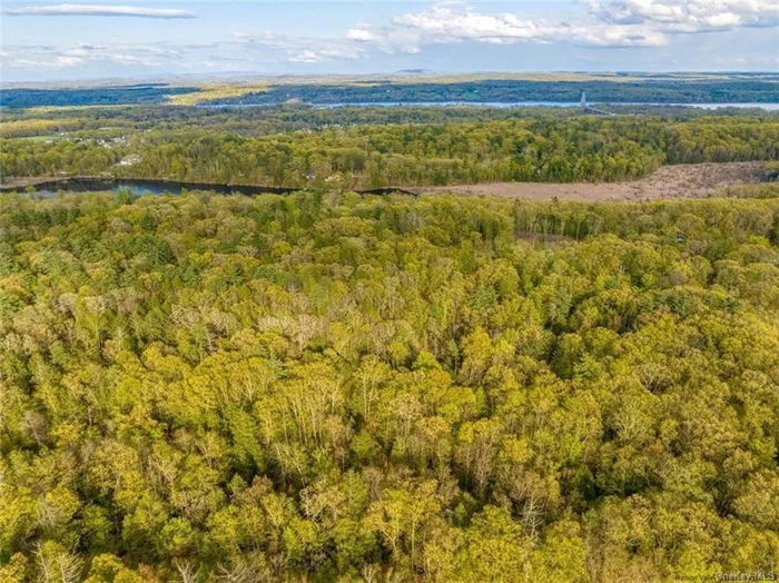 Here is a large vacant parcel on a quiet rural road with a good possibility for a nice water view of &rsquo;The Lake Katrine&rsquo;. There is an existing path (that you could almost drive) which leads to a great building site with a large pond and views of the lake. The remains of a previously built deck for gathering and outdoor enjoyment can still be found.  Acreage is on both sides of Lake Rd with approx 5 acres on the East side and approx 11 acres on the West. The East side may offer additional future build potential. The approx 11 acres on the West side could be suitable for a two lot subdivision and has the pond. The property is very convenient to the Thruway, Rhinecliff Bridge, Kingston and Woodstock. As well as shopping, dining, biking and hiking, etc...