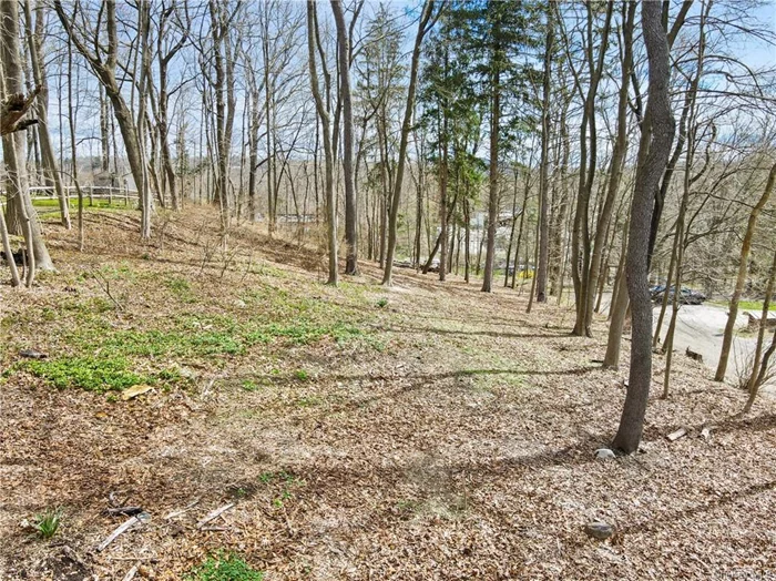 Possible Owner Financing for Qualified Buyers. Fully Approved, Shovel Ready 1+ acre lot in the heart of Katonah! The only available lot in the village. BOH Approved 4-Bedrooms. Municipal Water & Natural Gas on street. Conveniently located within the village. Close to train, shops, restaurants, KES, and Katonah Park.