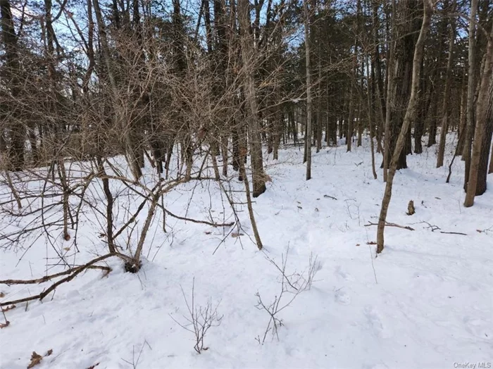 Level, lightly wooded lot in a private location off the &rsquo;beaten path&rsquo; yet close to everything you need. Largely level lot at the end of a private road. Property has been surveyed recently. Buyer is responsible for engineering and all municipal approvals.